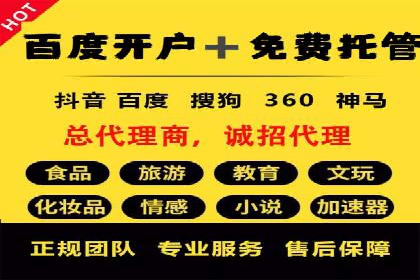 顶尖SEM竞价代运营公司案例分析
